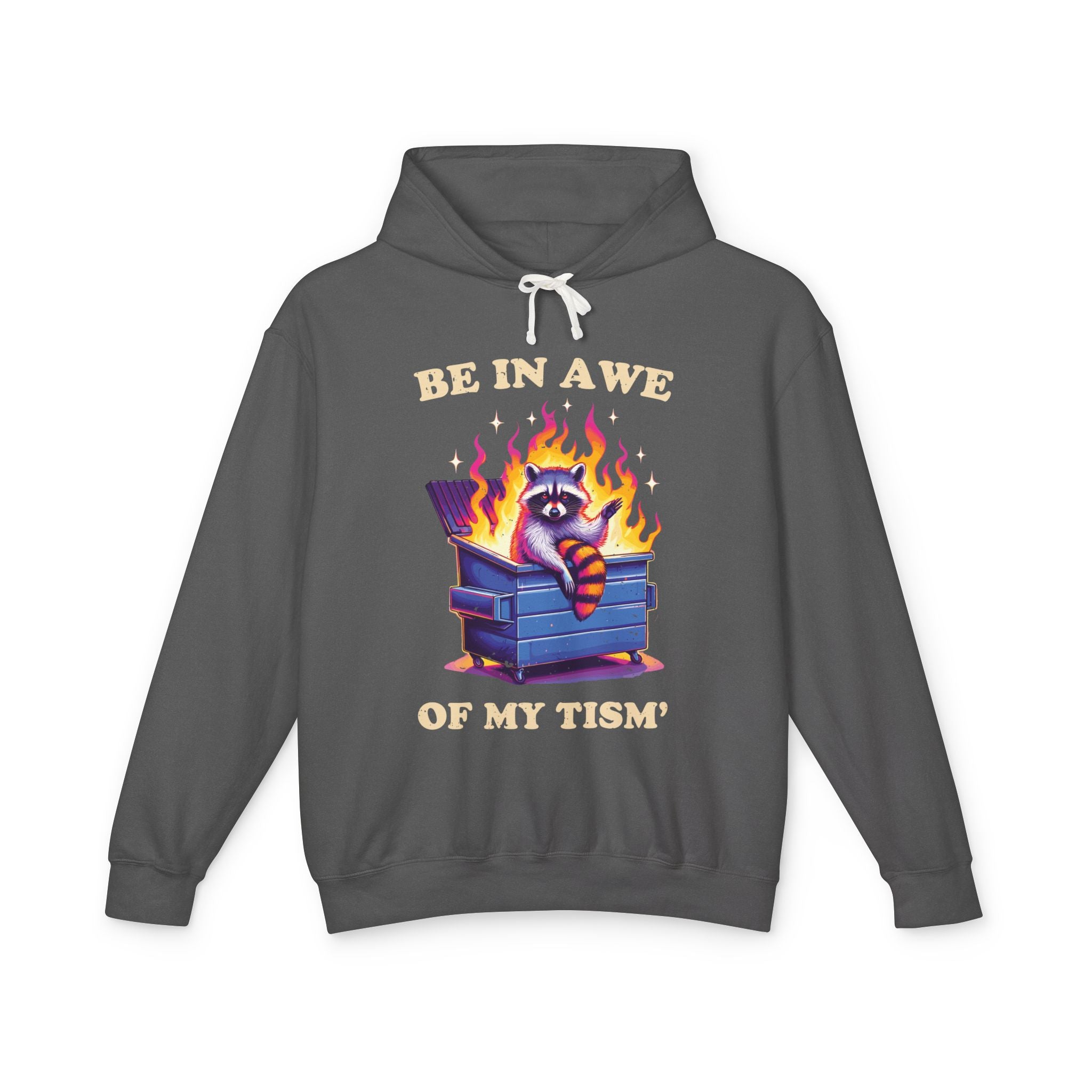 Be in Awe of My Tism Funny Raccoon Hoodie