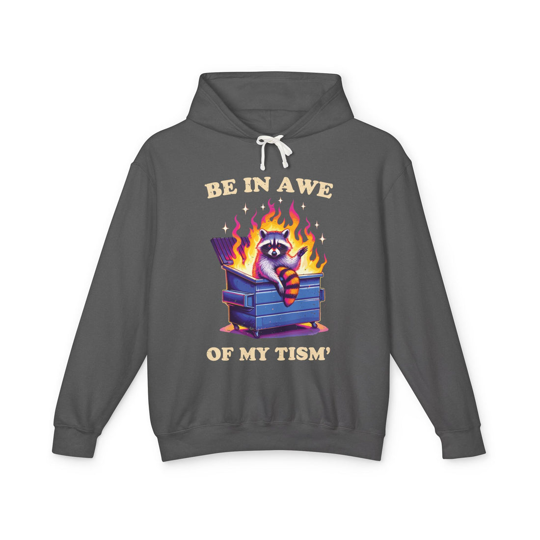 Be in Awe of My Tism Funny Raccoon Hoodie